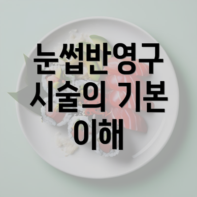 눈썹반영구 시술의 기본 이해