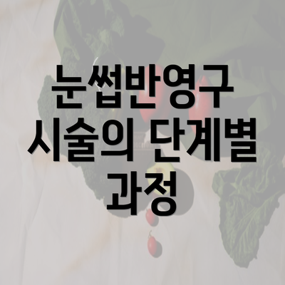 눈썹반영구 시술의 단계별 과정