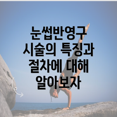 눈썹반영구 시술의 특징과 절차에 대해 알아보자