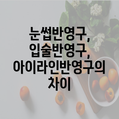 눈썹반영구, 입술반영구, 아이라인반영구의 차이