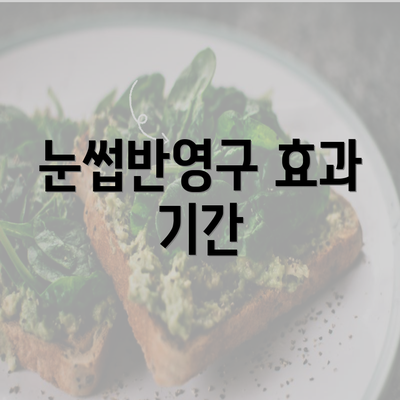 눈썹반영구 효과 기간