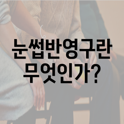 눈썹반영구란 무엇인가?