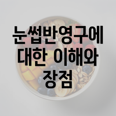 눈썹반영구에 대한 이해와 장점