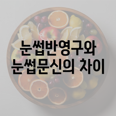 눈썹반영구와 눈썹문신의 차이