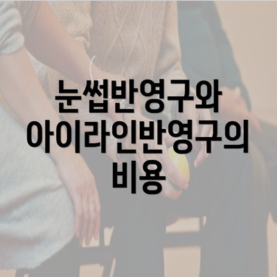 눈썹반영구와 아이라인반영구의 비용