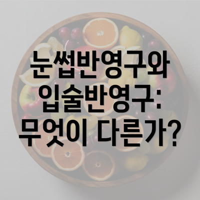 눈썹반영구와 입술반영구: 무엇이 다른가?