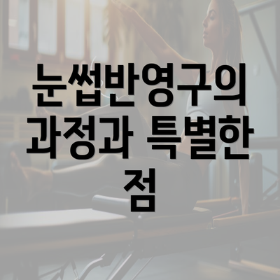 눈썹반영구의 과정과 특별한 점