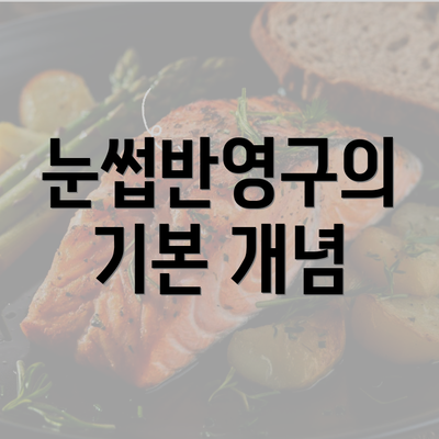 눈썹반영구의 기본 개념