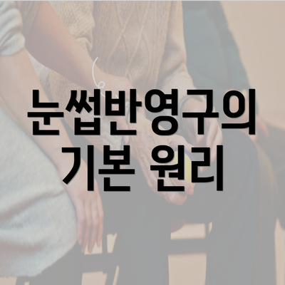 눈썹반영구의 기본 원리