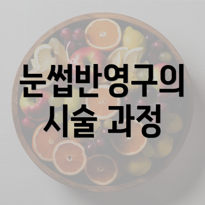 눈썹반영구의 시술 과정