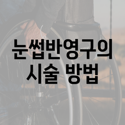 눈썹반영구의 시술 방법