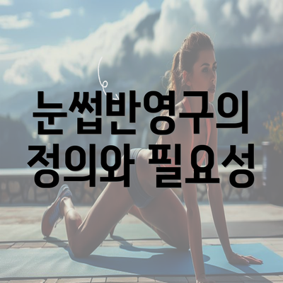 눈썹반영구의 정의와 필요성