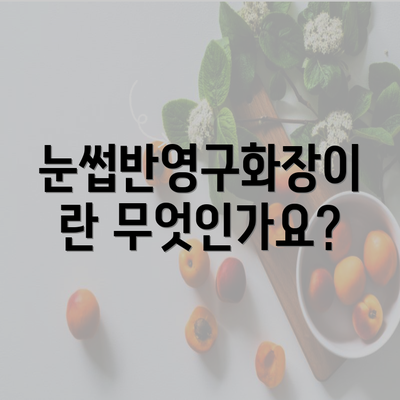 눈썹반영구화장이란 무엇인가요?