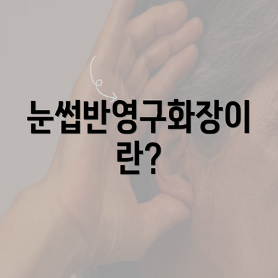 눈썹반영구화장이란?