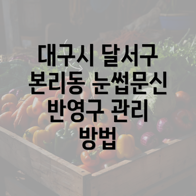 대구시 달서구 본리동 눈썹문신 반영구 관리 방법