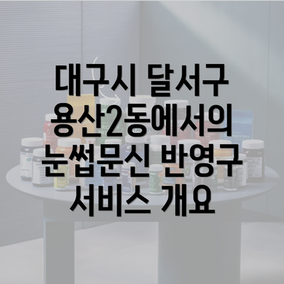 대구시 달서구 용산2동에서의 눈썹문신 반영구 서비스 개요