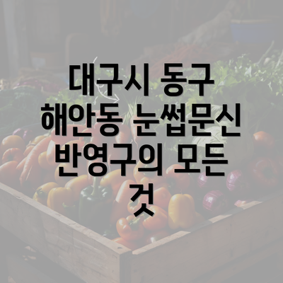 대구시 동구 해안동 눈썹문신 반영구의 모든 것