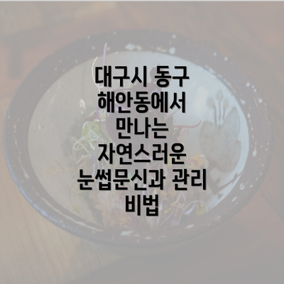 대구시 동구 해안동에서 만나는 자연스러운 눈썹문신과 관리 비법