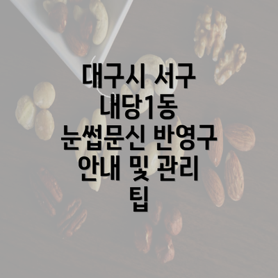 대구시 서구 내당1동 눈썹문신 반영구 안내 및 관리 팁