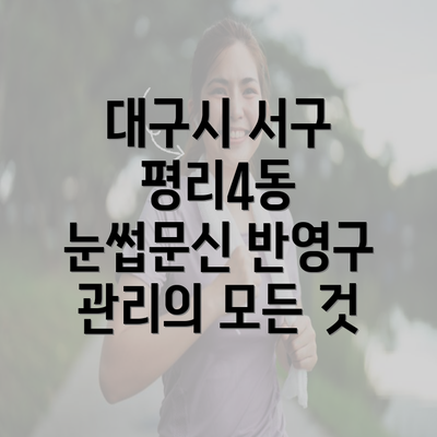 대구시 서구 평리4동 눈썹문신 반영구 관리의 모든 것