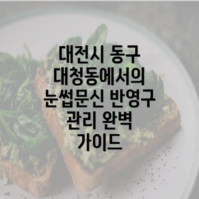 대전시 동구 대청동에서의 눈썹문신 반영구 관리 완벽 가이드