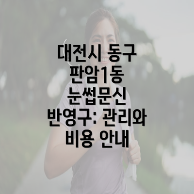 대전시 동구 판암1동 눈썹문신 반영구: 관리와 비용 안내