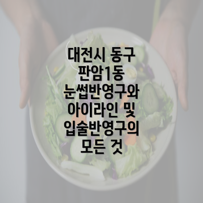 대전시 동구 판암1동 눈썹반영구와 아이라인 및 입술반영구의 모든 것