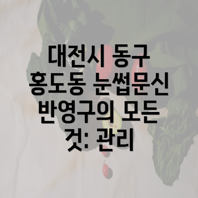 대전시 동구 홍도동 눈썹문신 반영구의 모든 것: 관리