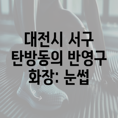 대전시 서구 탄방동의 반영구 화장: 눈썹