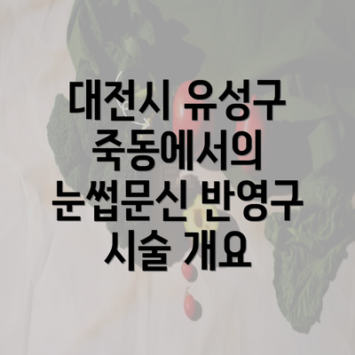 대전시 유성구 죽동에서의 눈썹문신 반영구 시술 개요