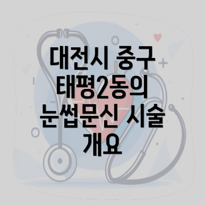 대전시 중구 태평2동의 눈썹문신 시술 개요