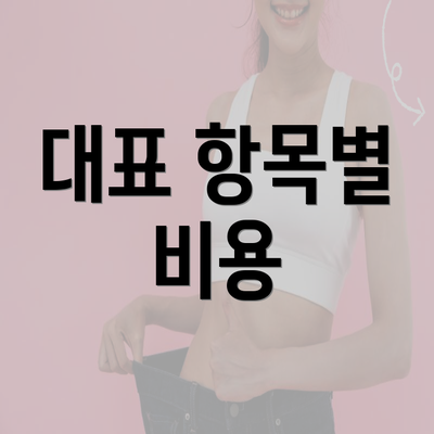 대표 항목별 비용