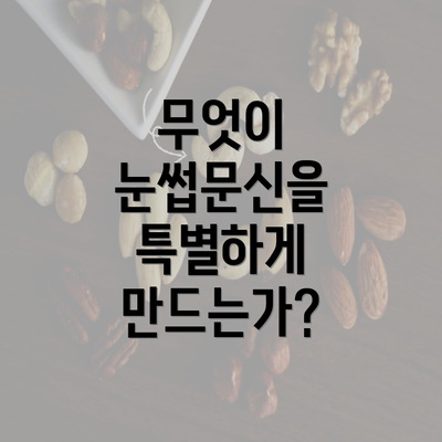 무엇이 눈썹문신을 특별하게 만드는가?