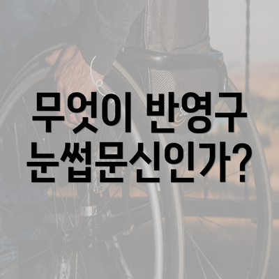 무엇이 반영구 눈썹문신인가?