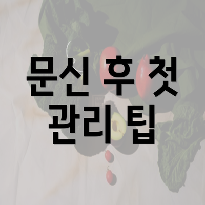 문신 후 첫 관리 팁