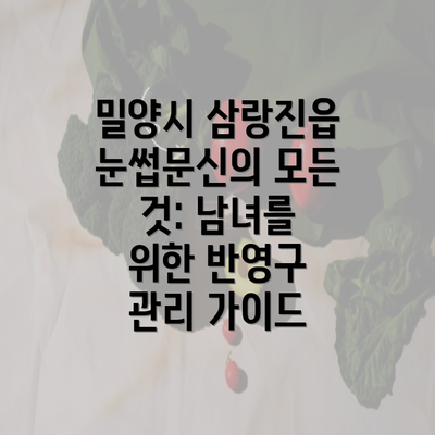 밀양시 삼랑진읍 눈썹문신의 모든 것: 남녀를 위한 반영구 관리 가이드