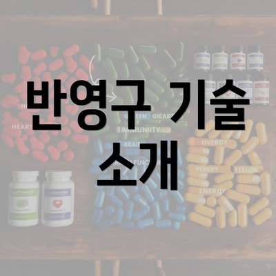 반영구 기술 소개