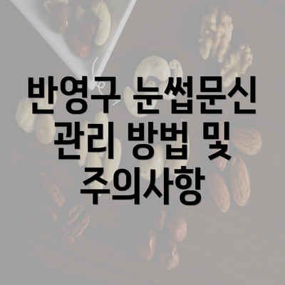 반영구 눈썹문신 관리 방법 및 주의사항