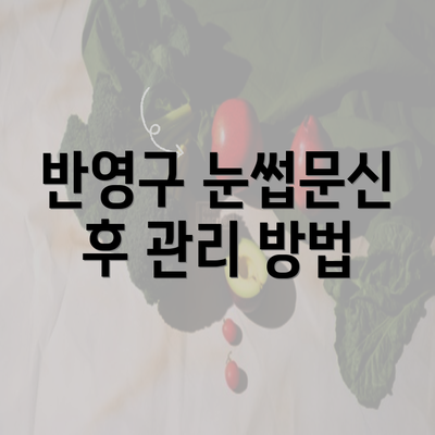 반영구 눈썹문신 후 관리 방법