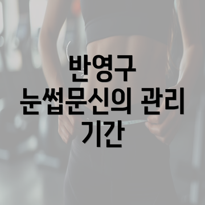 반영구 눈썹문신의 관리 기간