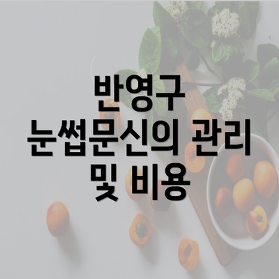 반영구 눈썹문신의 관리 및 비용