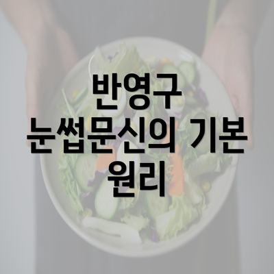 반영구 눈썹문신의 기본 원리