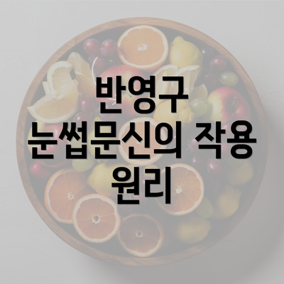 반영구 눈썹문신의 작용 원리