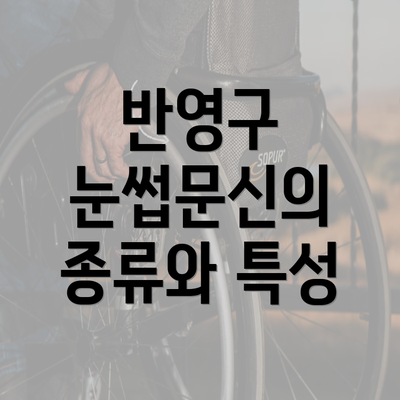 반영구 눈썹문신의 종류와 특성