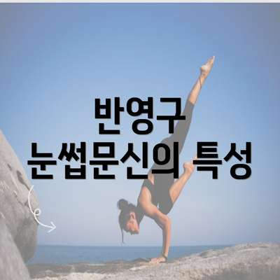 반영구 눈썹문신의 특성