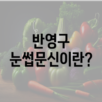 반영구 눈썹문신이란?