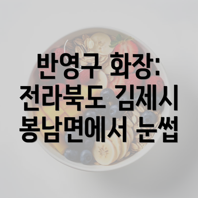 반영구 화장: 전라북도 김제시 봉남면에서 눈썹