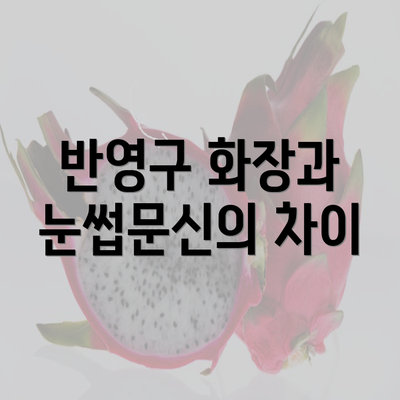 반영구 화장과 눈썹문신의 차이