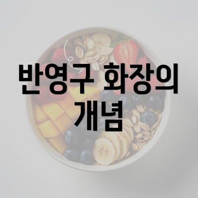 반영구 화장의 개념