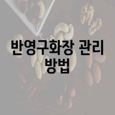 반영구화장 관리 방법